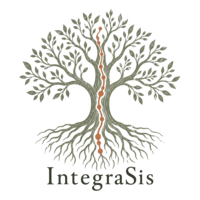 Integra Sistêmica